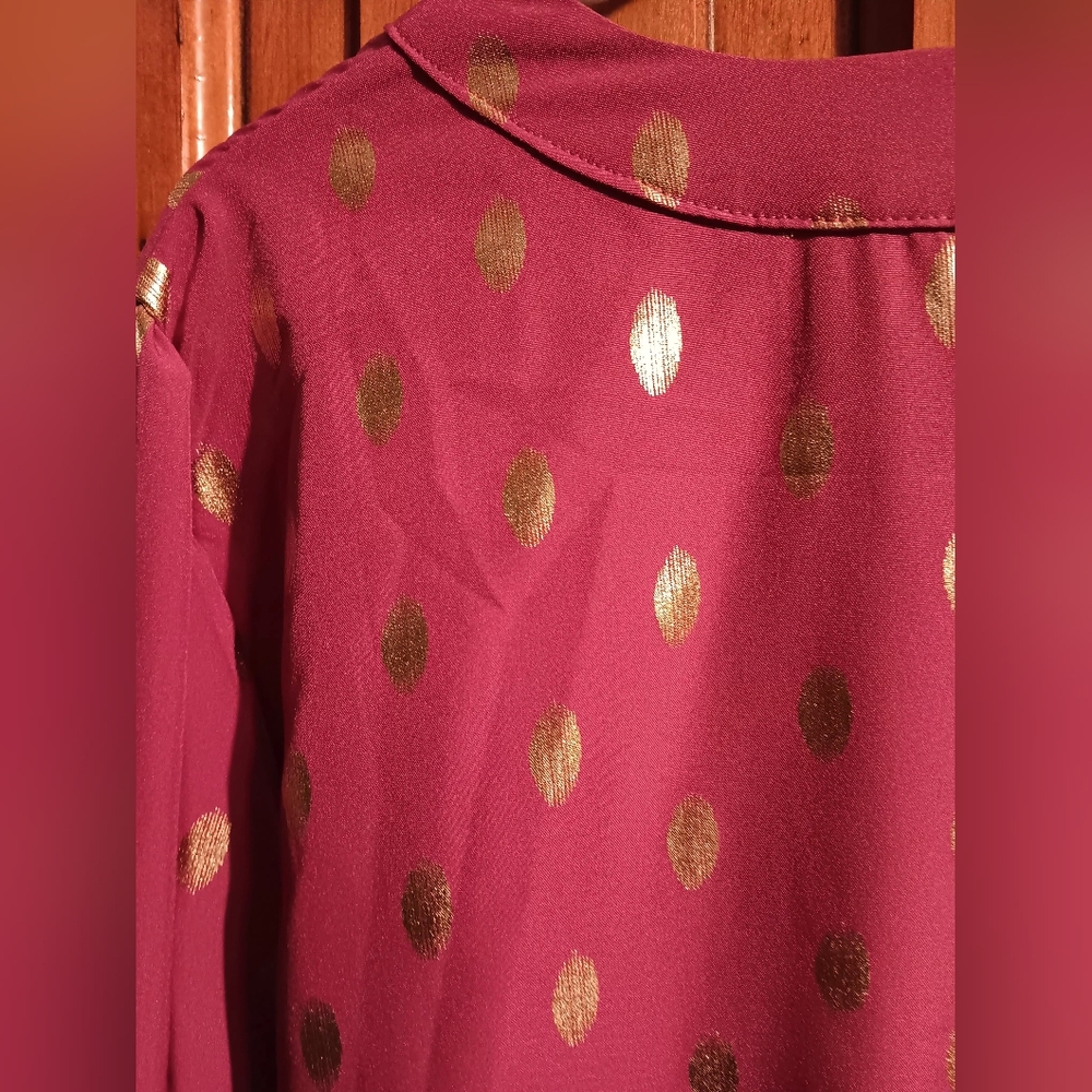 Short v neck blouse with long sleeves